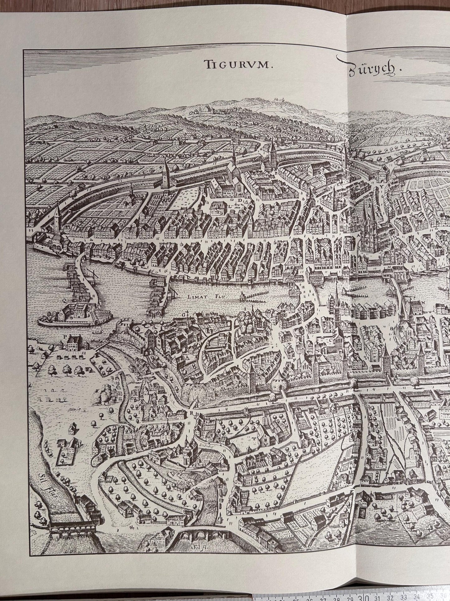 Vintage Map of Zurich