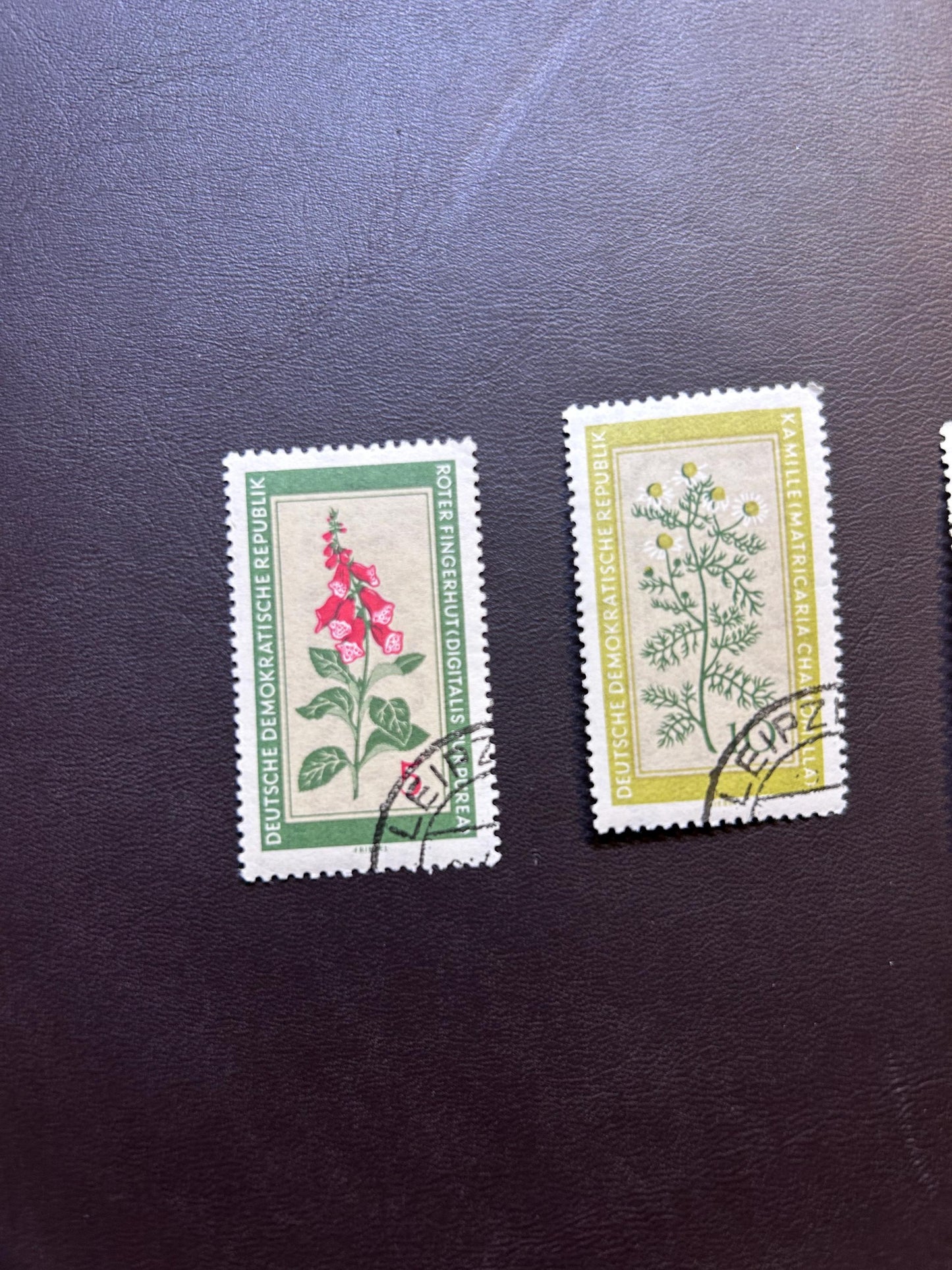 GDR 1960 medicinal plants