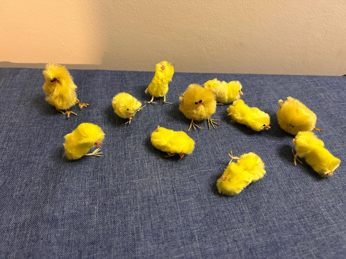 Set of 12 vintage chicks