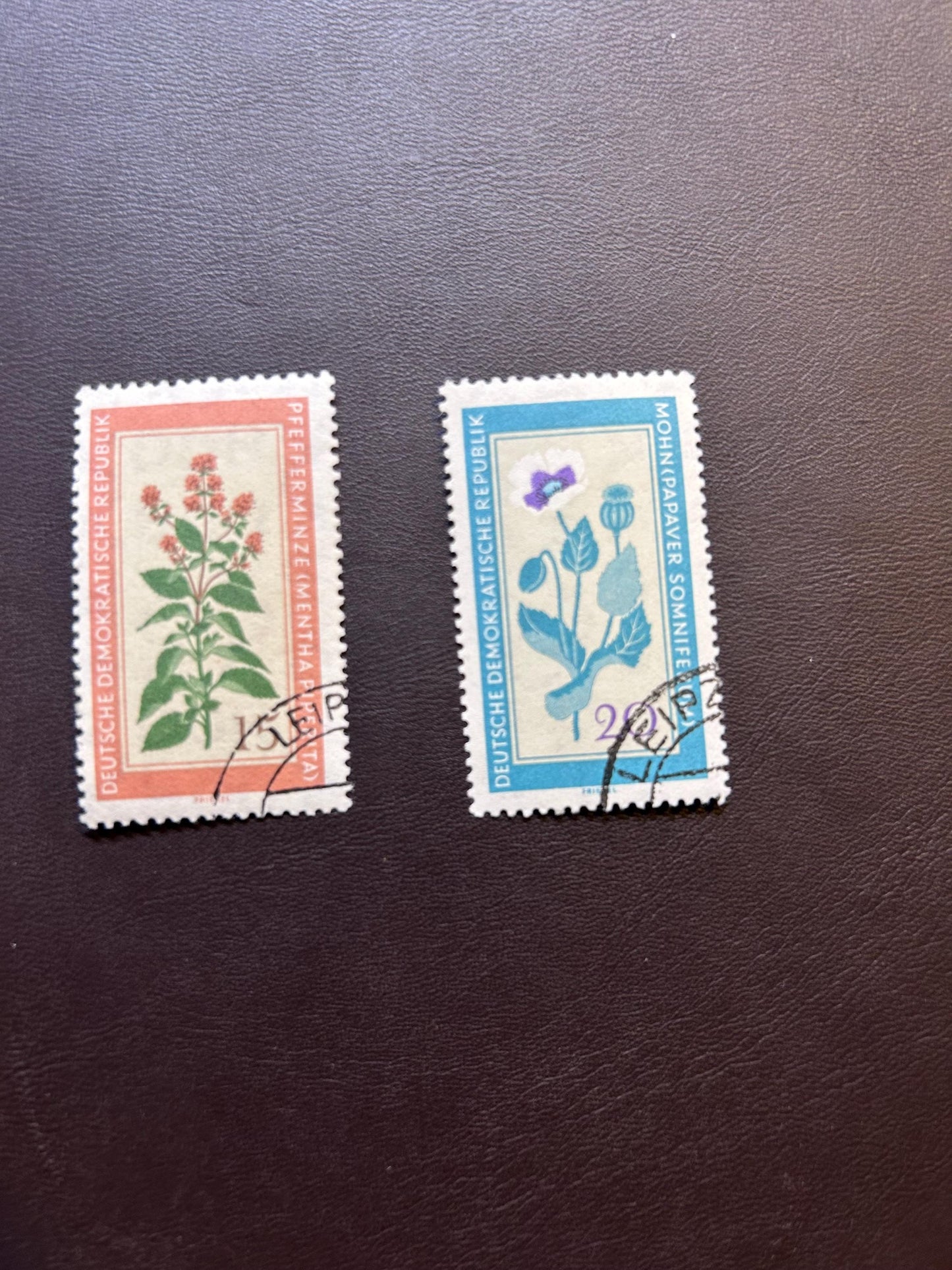 GDR 1960 medicinal plants