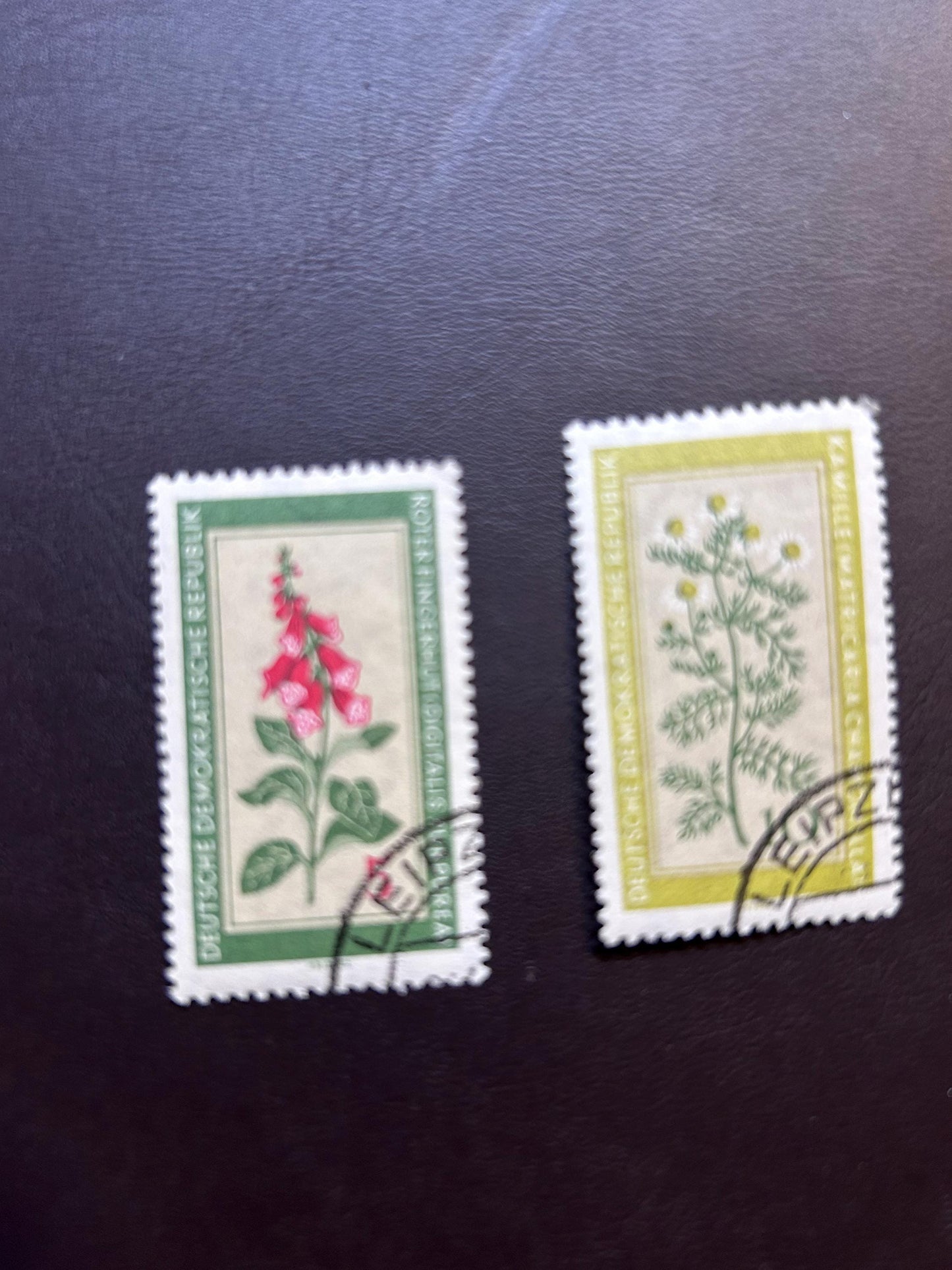 GDR 1960 medicinal plants