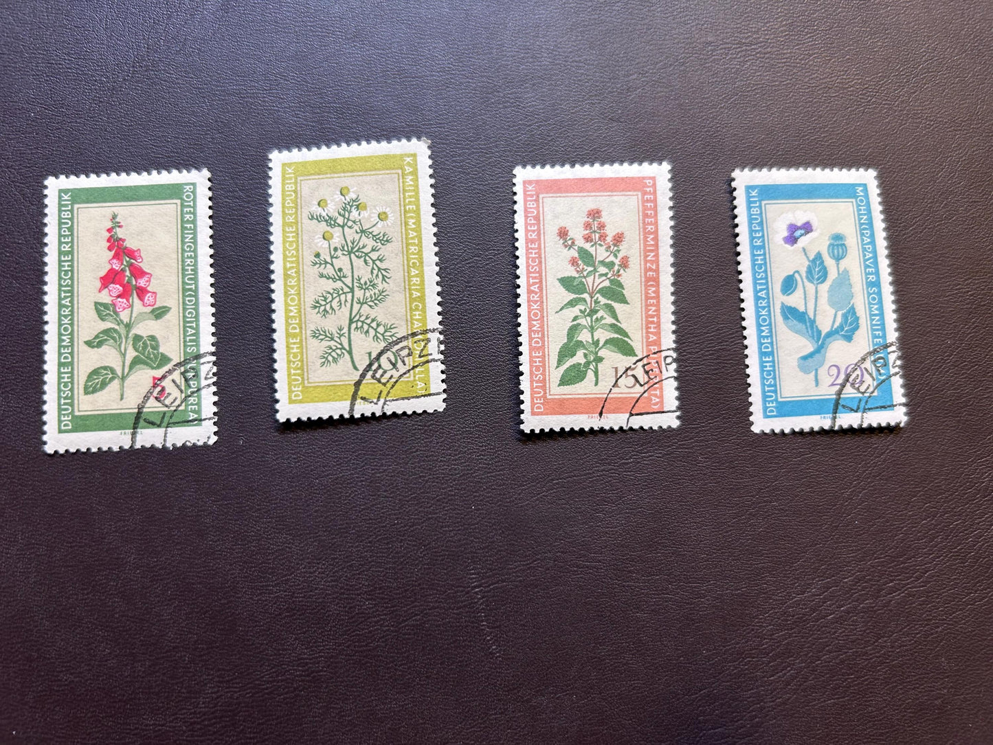 GDR 1960 medicinal plants