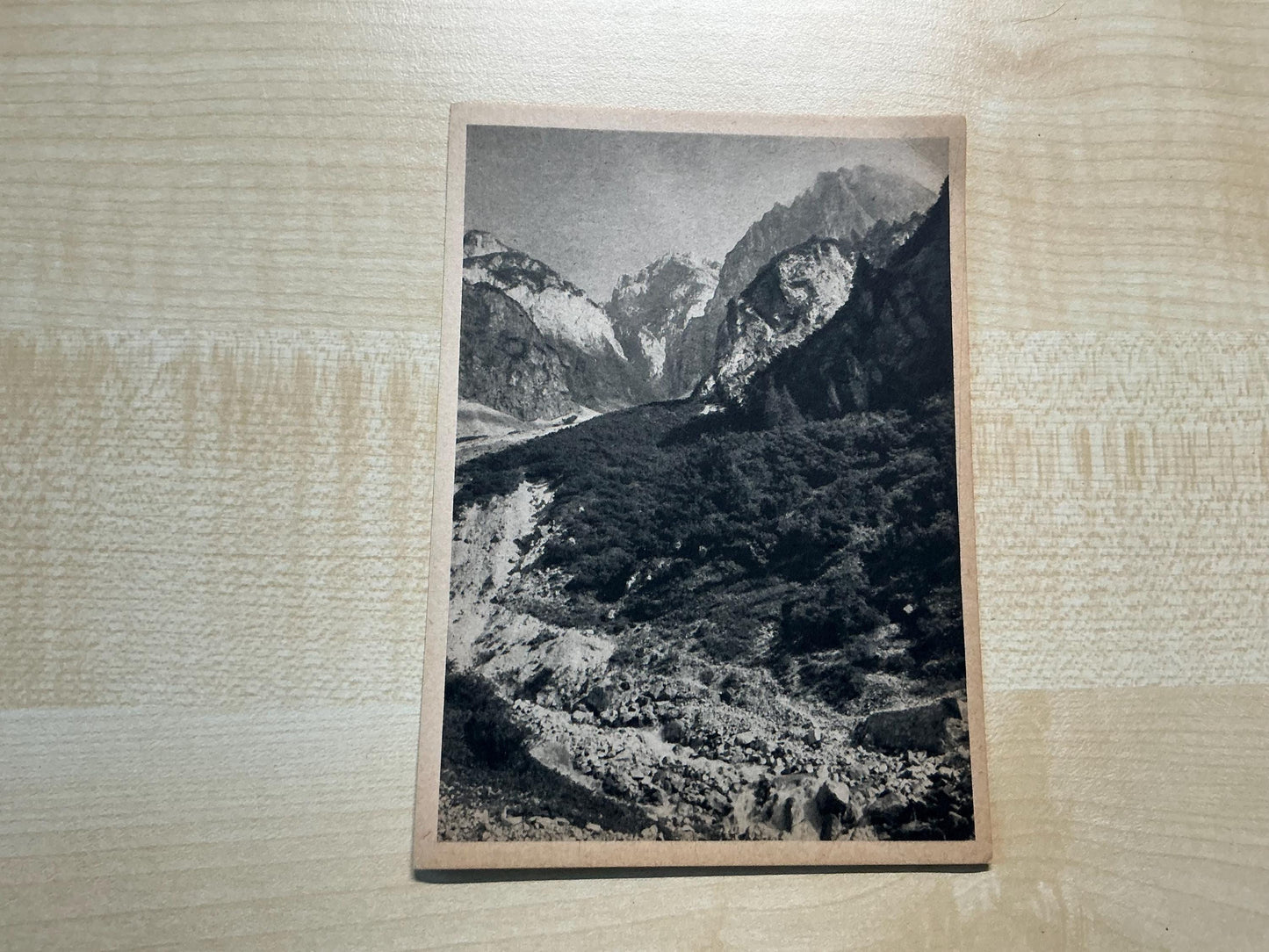 Postcard Mountain Pine Forests